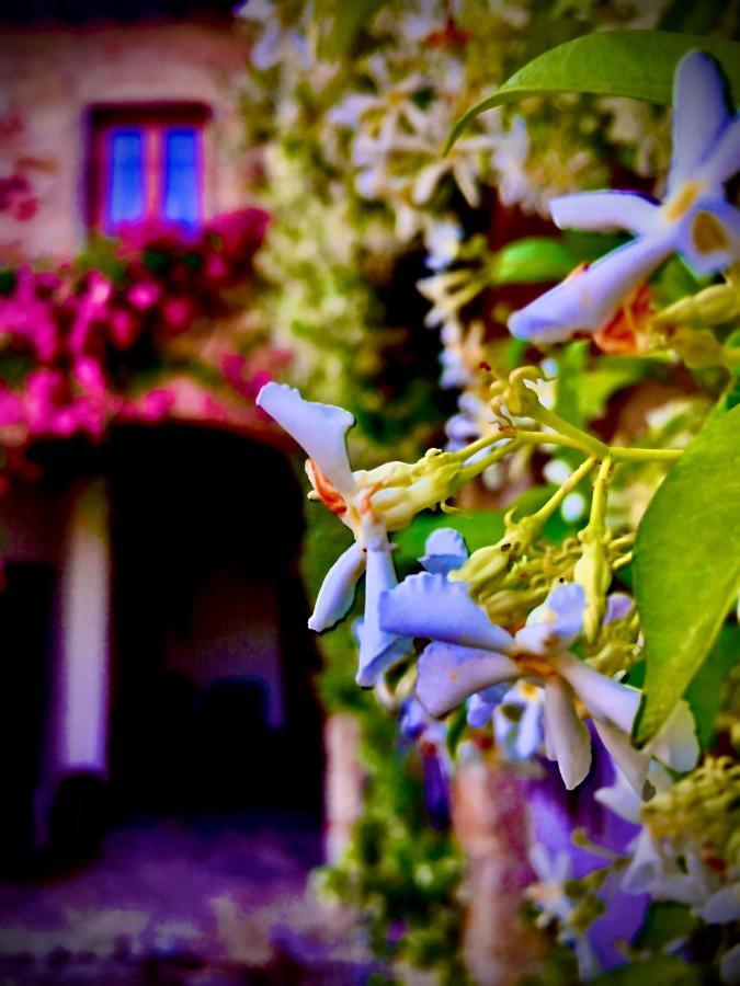 Podere Di Belforte Bagno A Ripoli Exterior photo